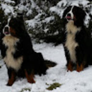 Meet your Posher, Colleen